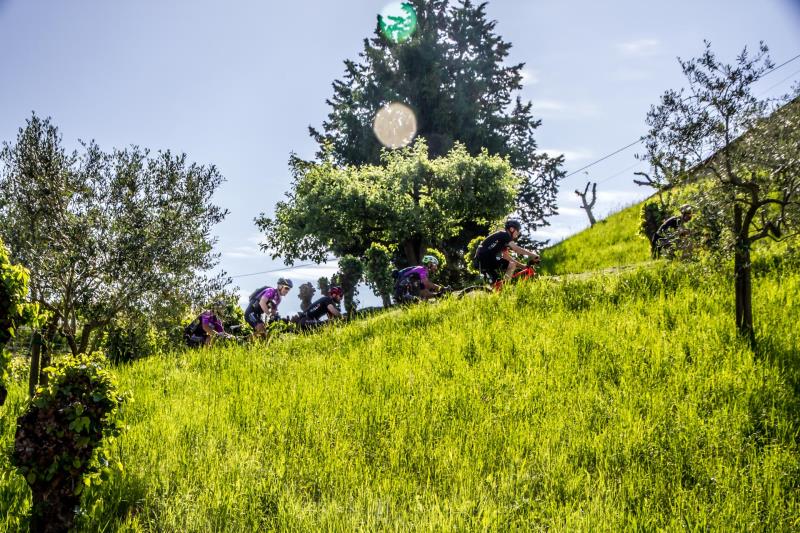 La Ronda Fiandre Trevigiane a numeri limitati